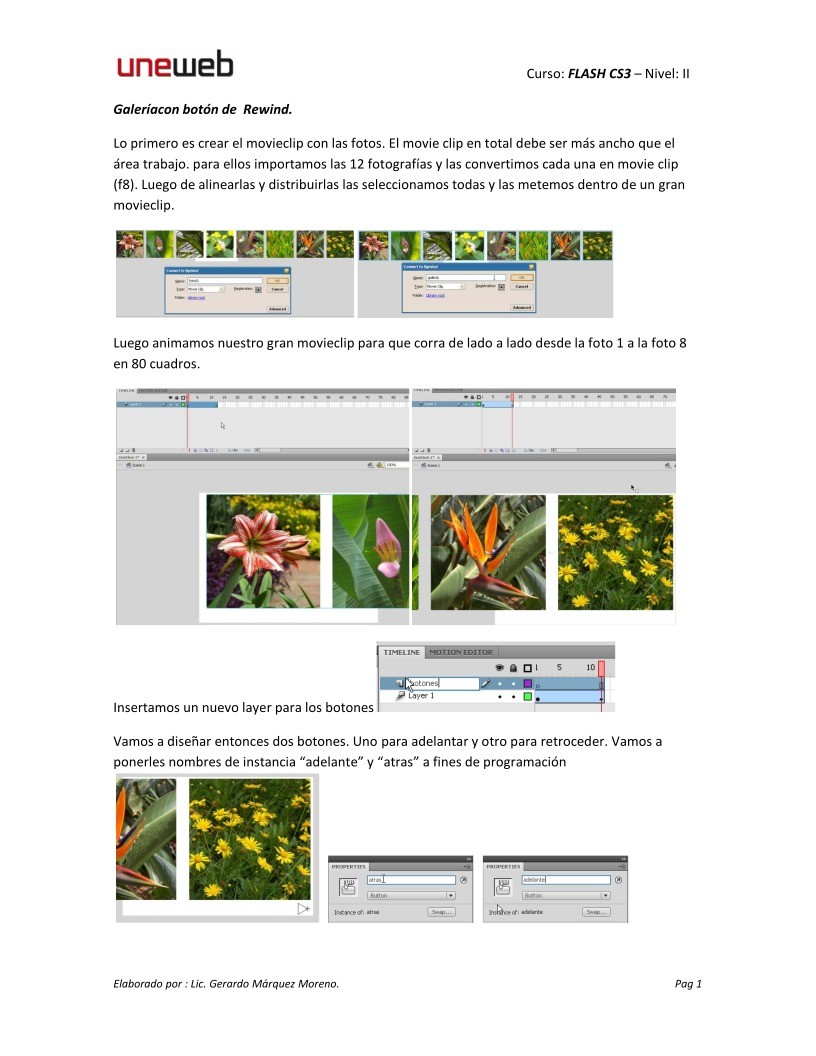 Imágen de pdf Galeria con botón de Rewind - Curso Flash CS3